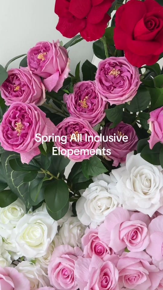 Post 1 by Adelaide Wedding Chapel on TikTok (video)