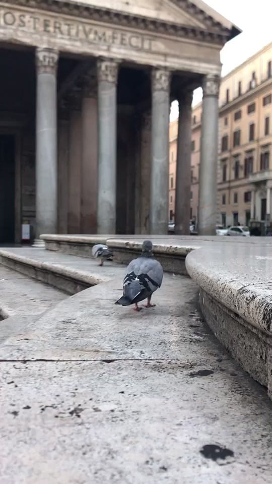 Post 7 by Nic Morley on TikTok (video)