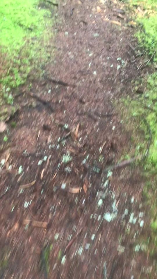 Post 9 by Nic Morley on TikTok (video)