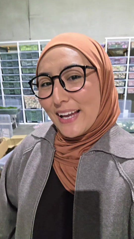 Post 4 by paragonweddingsau on TikTok (video)