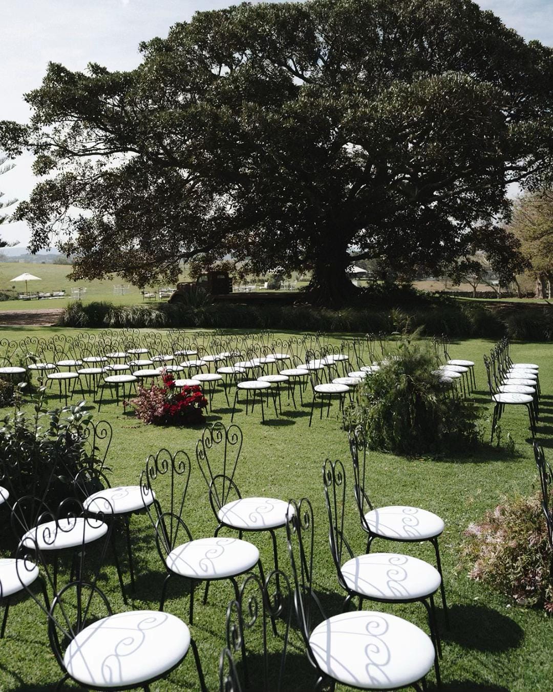 Post 3 by Paloma Events on TikTok (video)