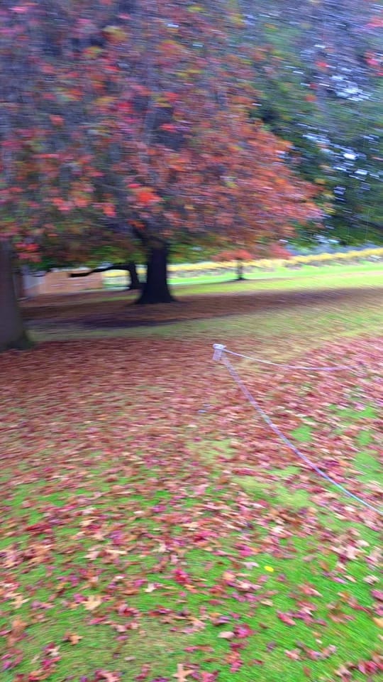 Post 9 by Lalyza-all in one on TikTok (video)
