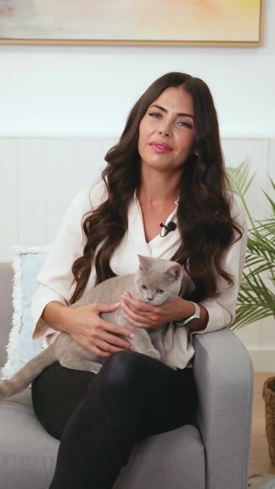 Post 3 by Pet Circle on TikTok (video)