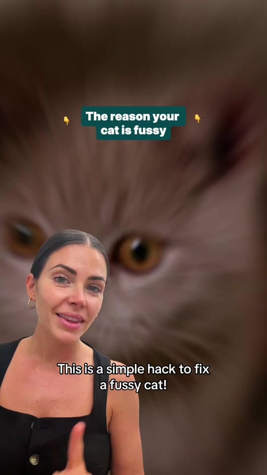 Post 4 by Pet Circle on TikTok (video)