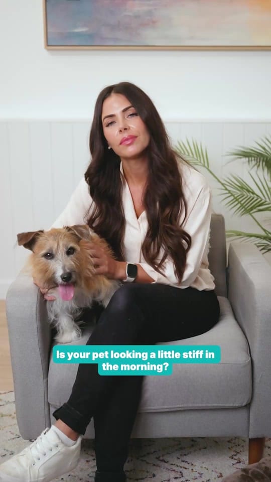 Post 2 by Pet Circle on TikTok (video)