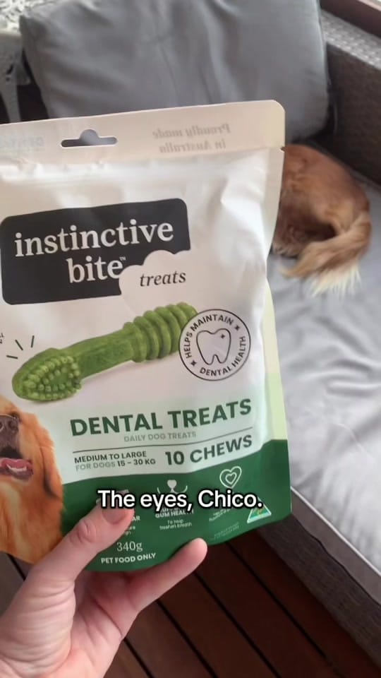 Post 9 by Pet Circle on TikTok (video)