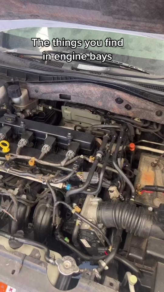 Post 10 by Procheck_Automotive on TikTok (video)