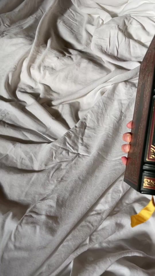 Post 4 by Cambrie 🕯️📖✨🌷 on TikTok (video)