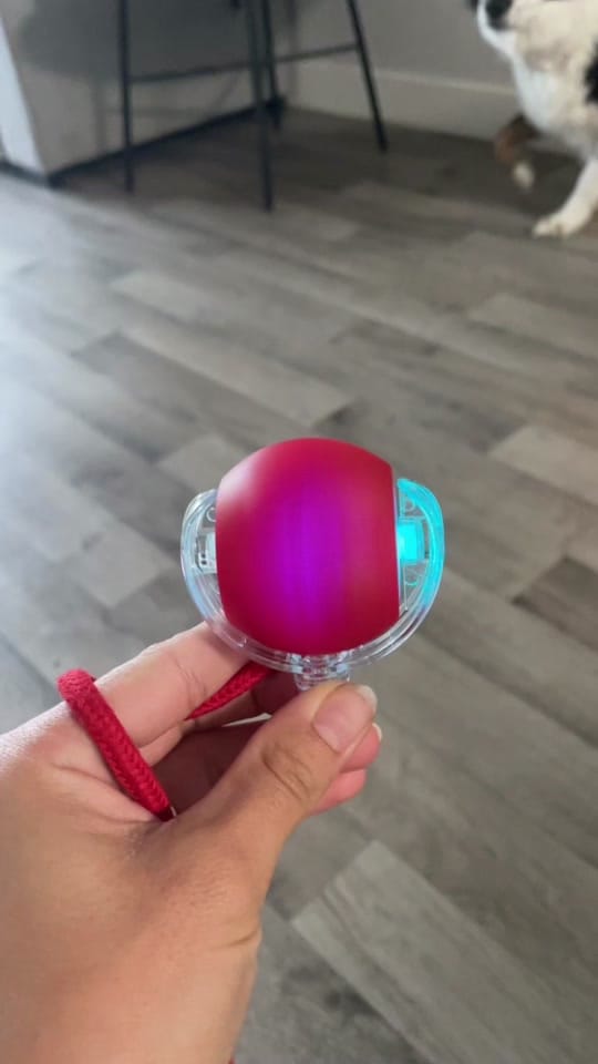 Post 6 by life.with.lilo on TikTok (video)