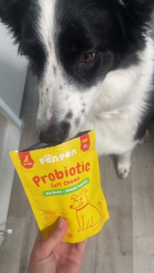 Post 3 by life.with.lilo on TikTok (video)