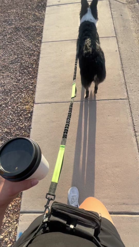 Post 5 by life.with.lilo on TikTok (video)