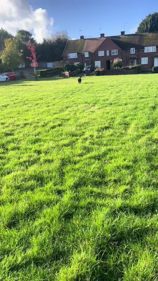 Post 2 by Rachel on TikTok (video)