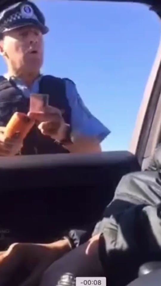 Post 7 by Spicy Baboon on TikTok (video)