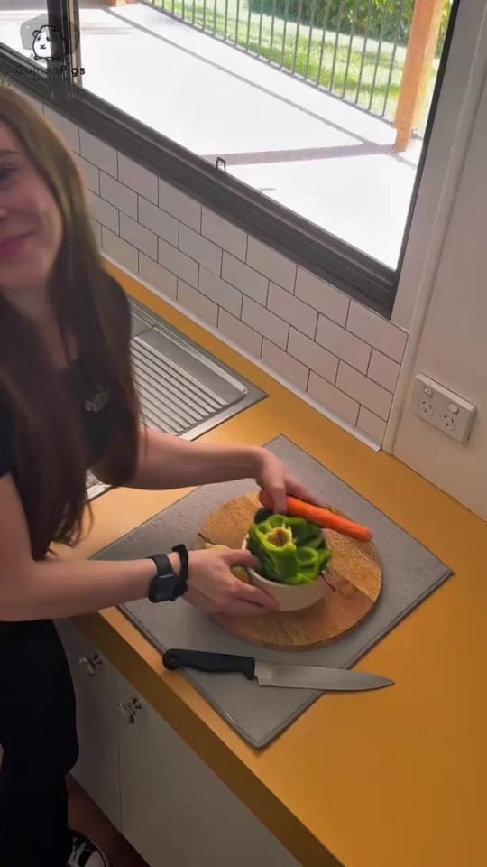 Post 5 by Guinea Pigs Australia on TikTok (video)