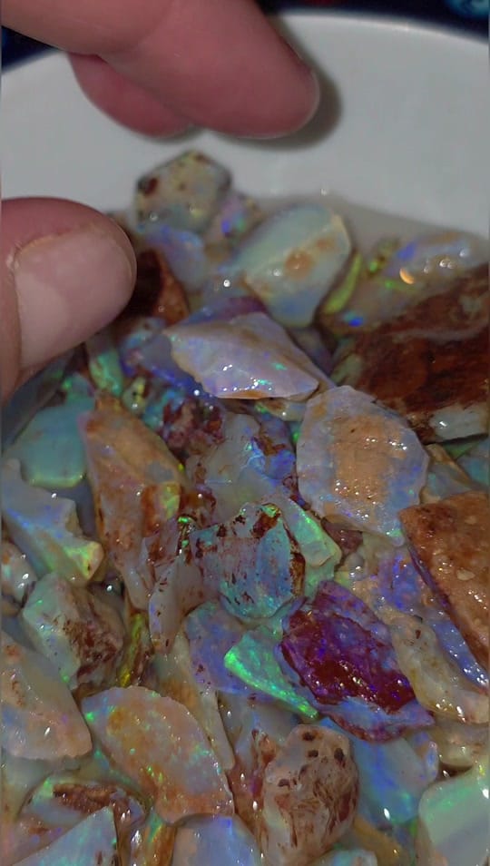 Post 7 by MDs Ozzie Opals on TikTok (video)