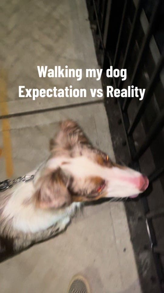Post 3 by AllForPenny on TikTok (video)