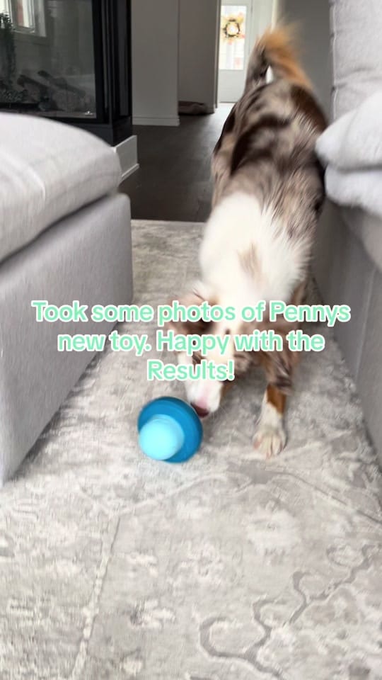 Post 2 by AllForPenny on TikTok (video)