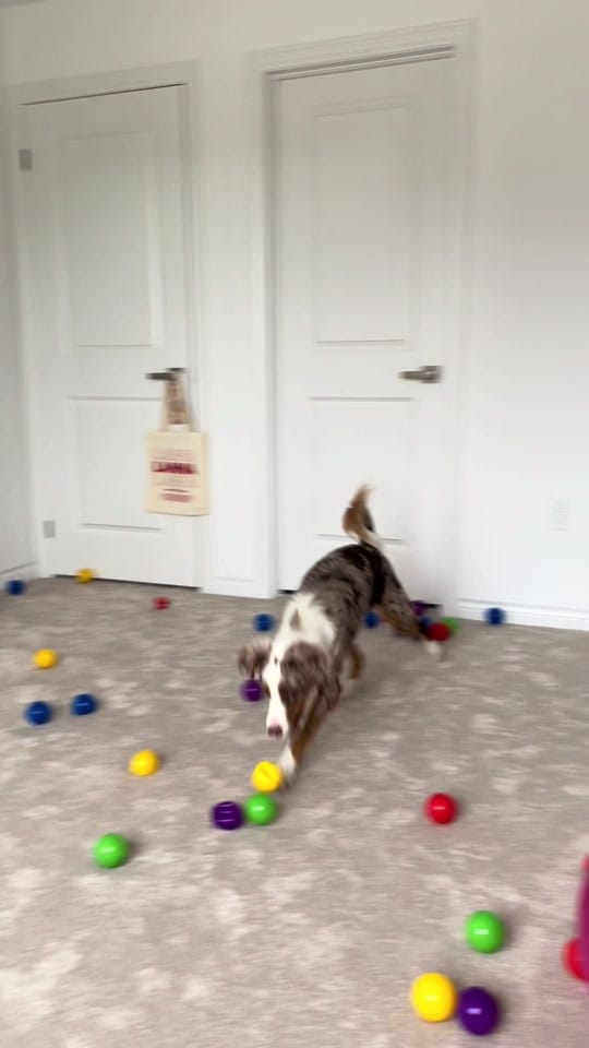 Post 1 by AllForPenny on TikTok (video)