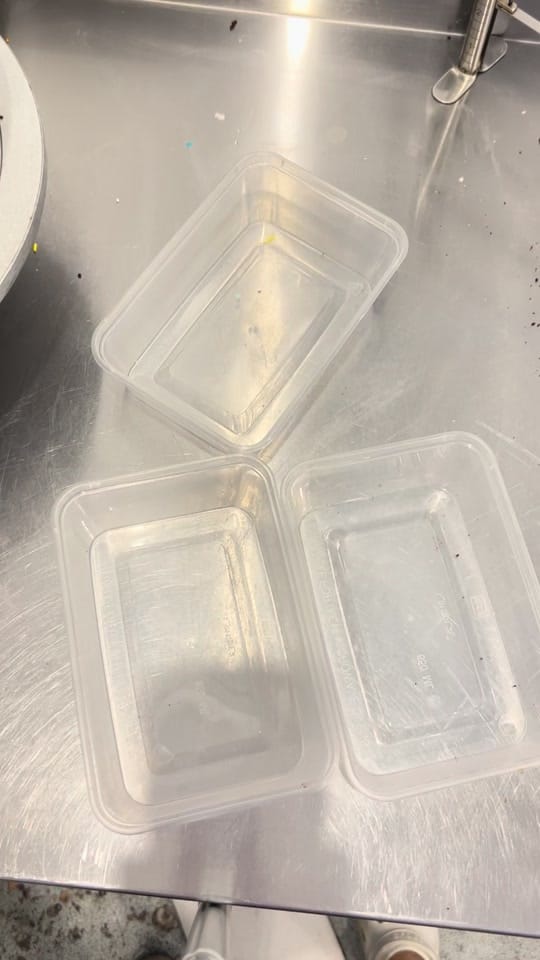 Post 10 by Little Sprinkle Co. on TikTok (video)