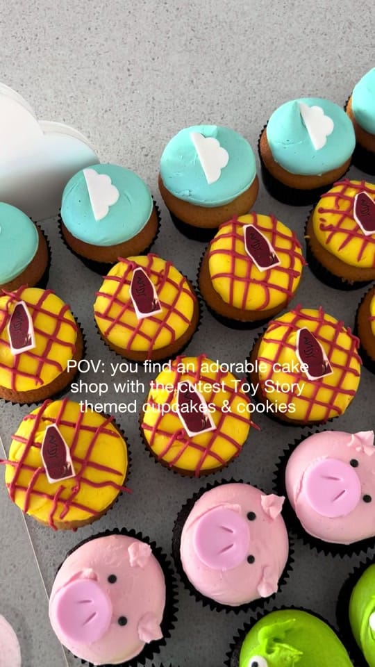 Post 1 by Little Sprinkle Co. on TikTok (video)
