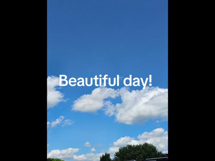 Post 3 by Joanne dog mom on TikTok (video)