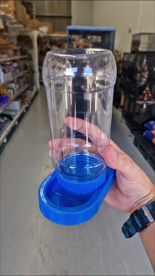 Post 8 by Queenslander Aviaries on TikTok (video)