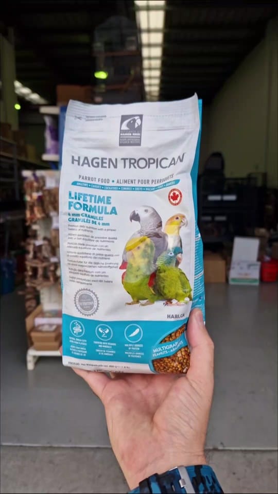Post 1 by Queenslander Aviaries on TikTok (video)