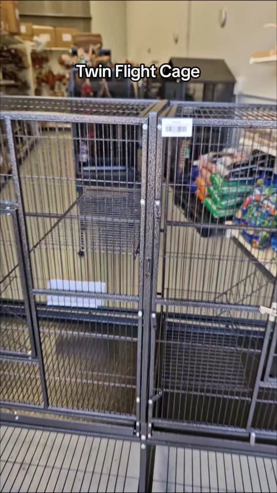 Post 3 by Queenslander Aviaries on TikTok (video)