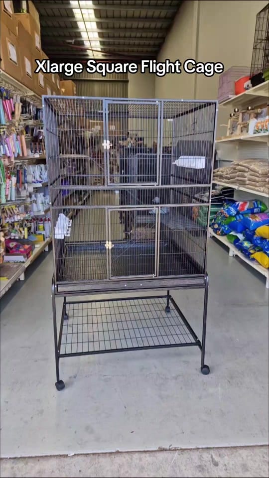 Post 2 by Queenslander Aviaries on TikTok (video)