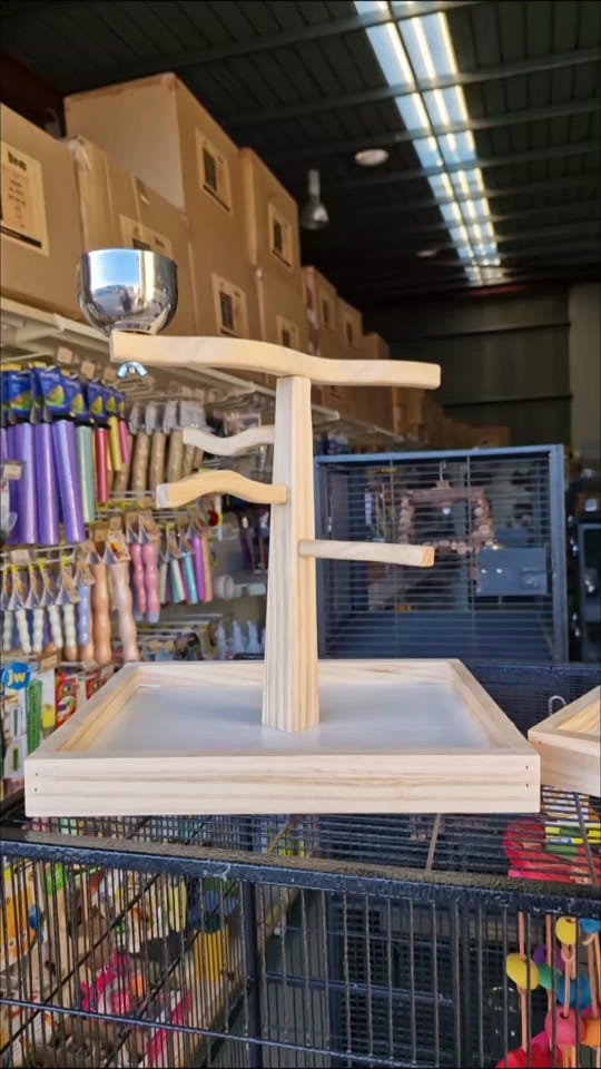 Post 4 by Queenslander Aviaries on TikTok (video)
