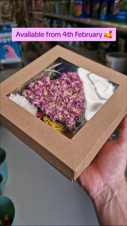 Post 7 by Queenslander Aviaries on TikTok (video)