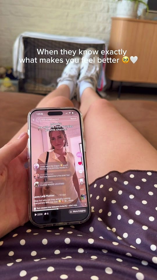 Post 3 by Lacey Lane Plushies 🐾 on TikTok (video)
