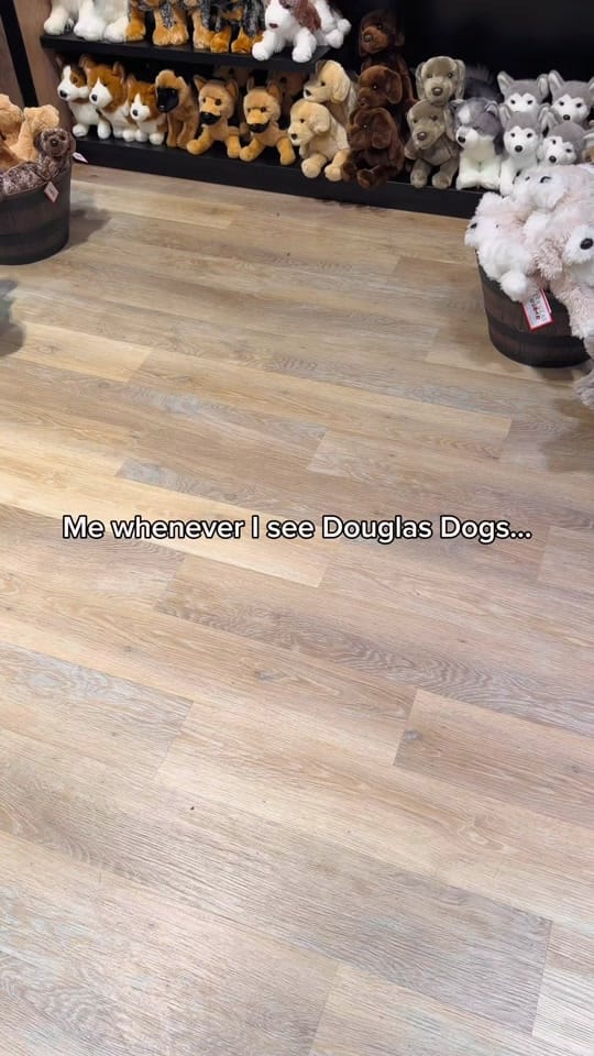 Post 9 by Lacey Lane Plushies 🐾 on TikTok (video)