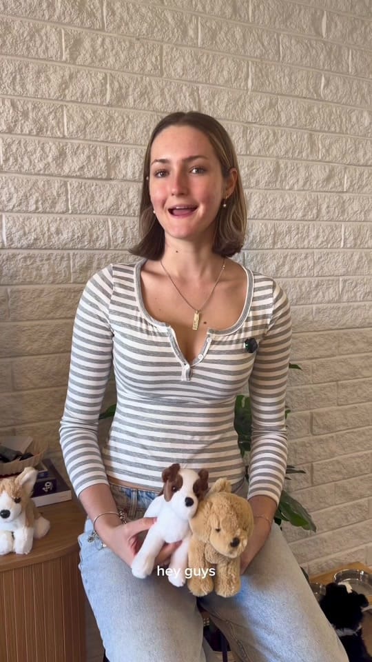Post 7 by Lacey Lane Plushies 🐾 on TikTok (video)