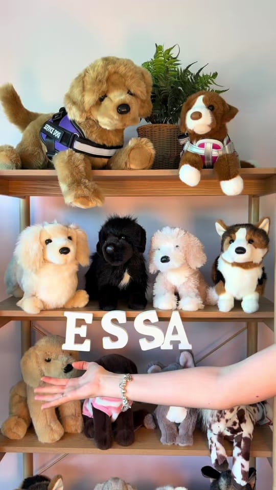 Post 6 by Lacey Lane Plushies 🐾 on TikTok (video)