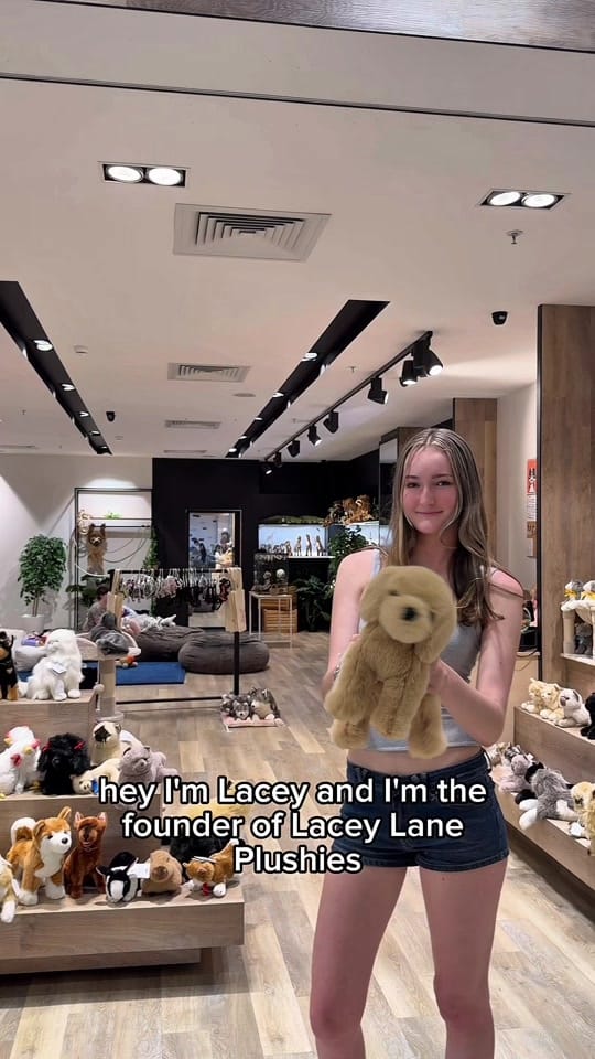 Post 10 by Lacey Lane Plushies 🐾 on TikTok (video)