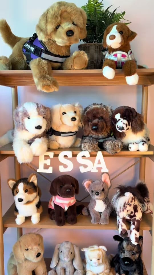Post 4 by Lacey Lane Plushies 🐾 on TikTok (video)