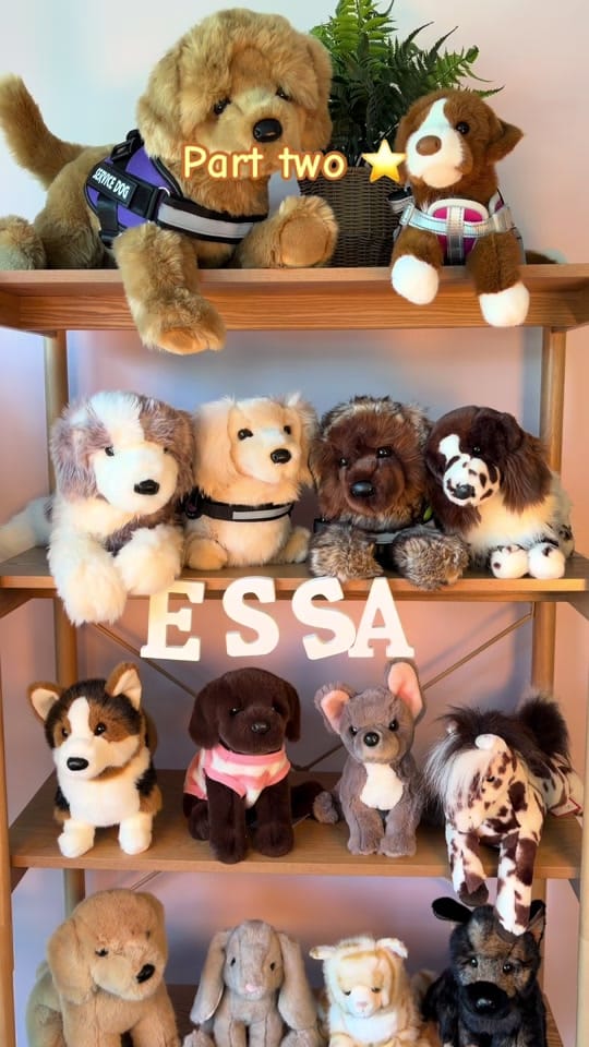 Post 5 by Lacey Lane Plushies 🐾 on TikTok (video)