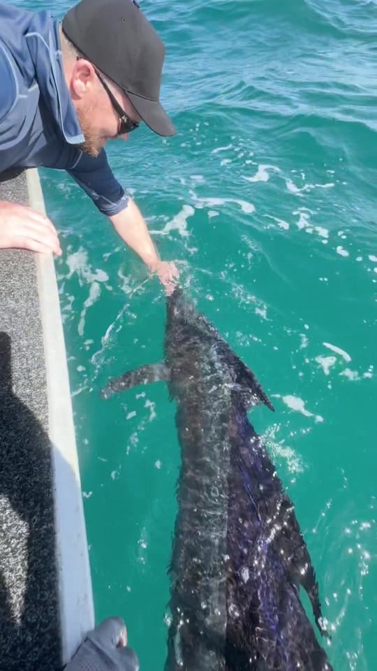 Post 7 by Hot Tackle on TikTok (video)