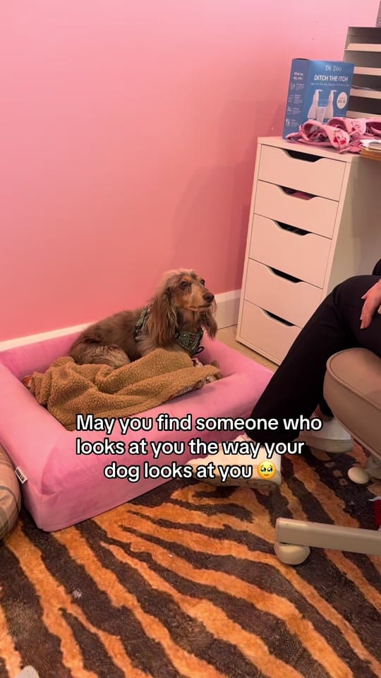 Post 4 by Pablo.and.co on TikTok (video)