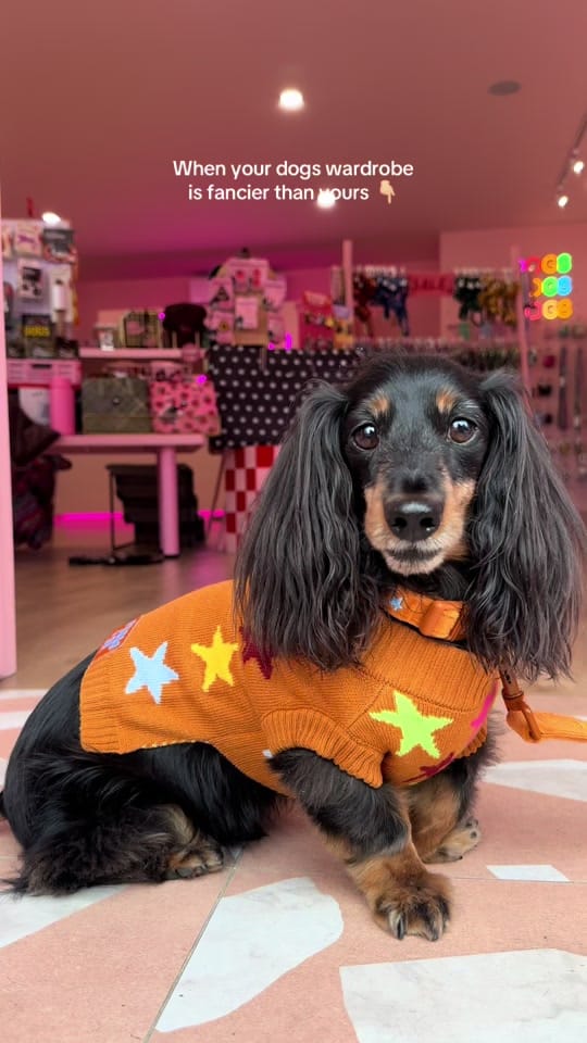 Post 1 by Pablo.and.co on TikTok (video)