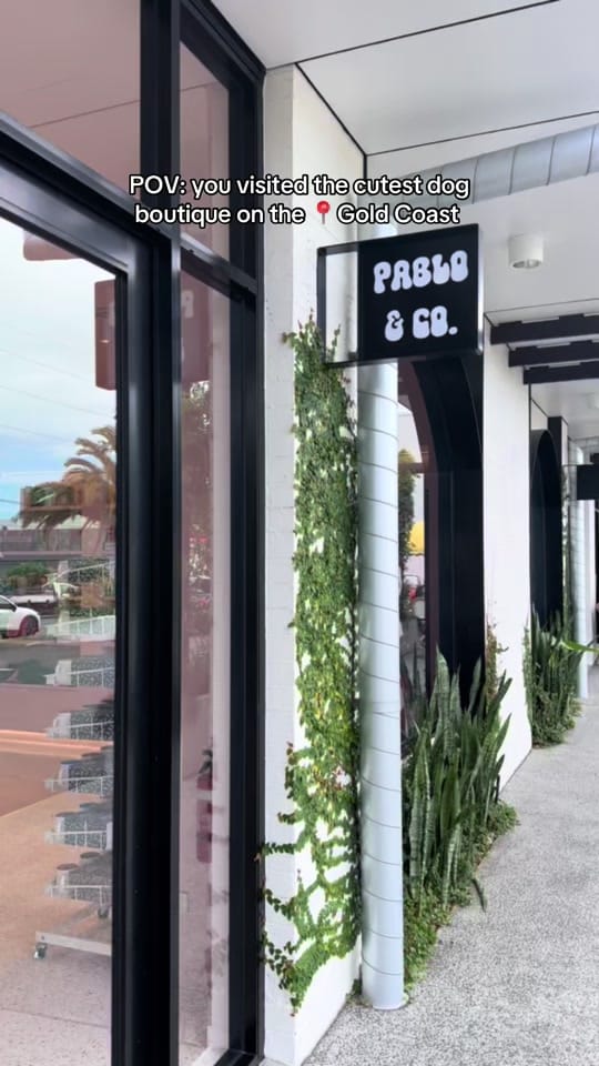 Post 6 by Pablo.and.co on TikTok (video)