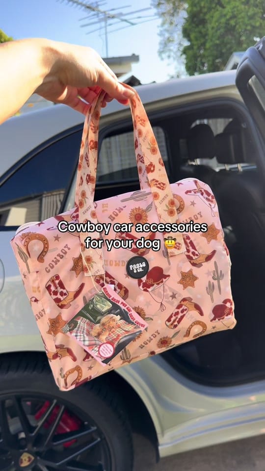 Post 5 by Pablo.and.co on TikTok (video)