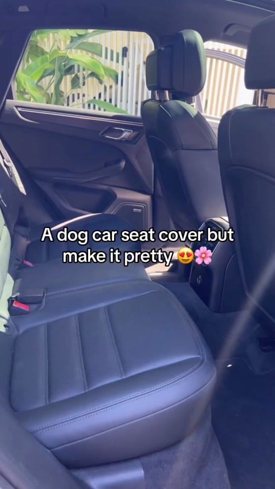 Post 9 by Pablo.and.co on TikTok (video)