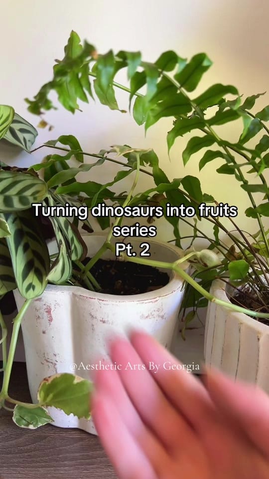 Post 3 by aesthetic arts by Georgia on TikTok (video)