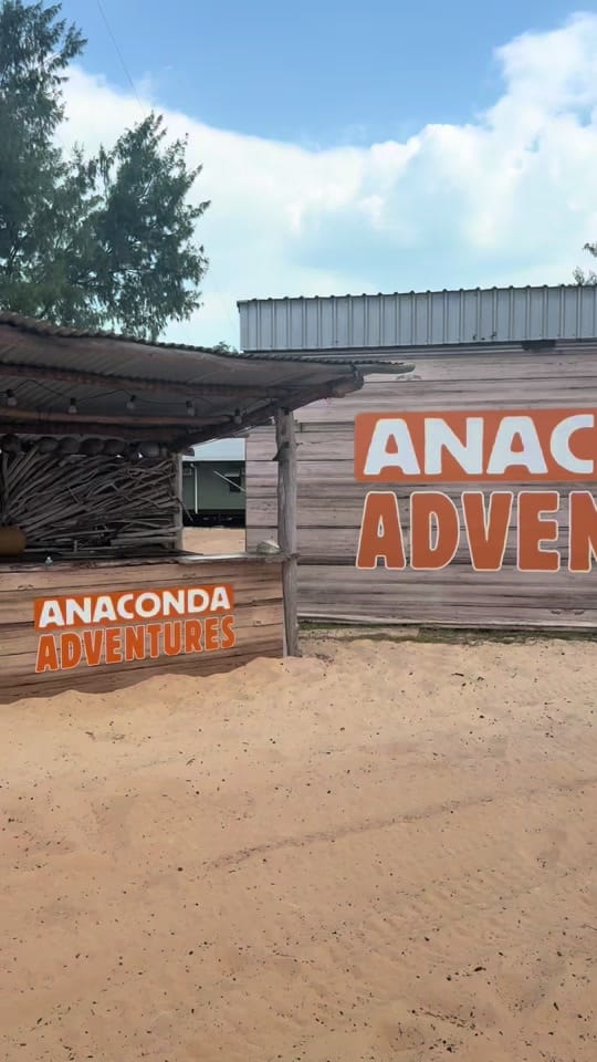 Post 8 by Anaconda on TikTok (video)