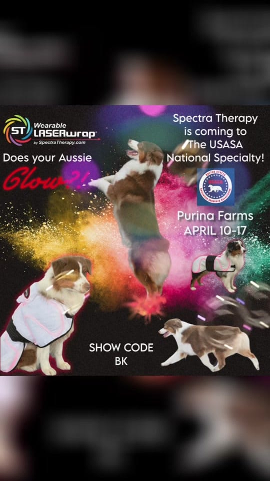 Post 1 by beckyrussellbarnes on TikTok (video)