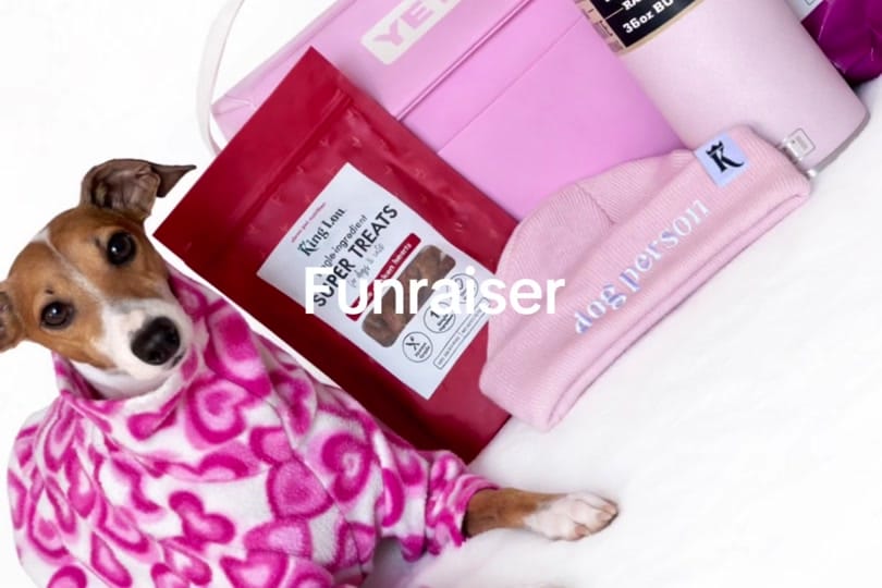 Post 8 by beckyrussellbarnes on TikTok (video)