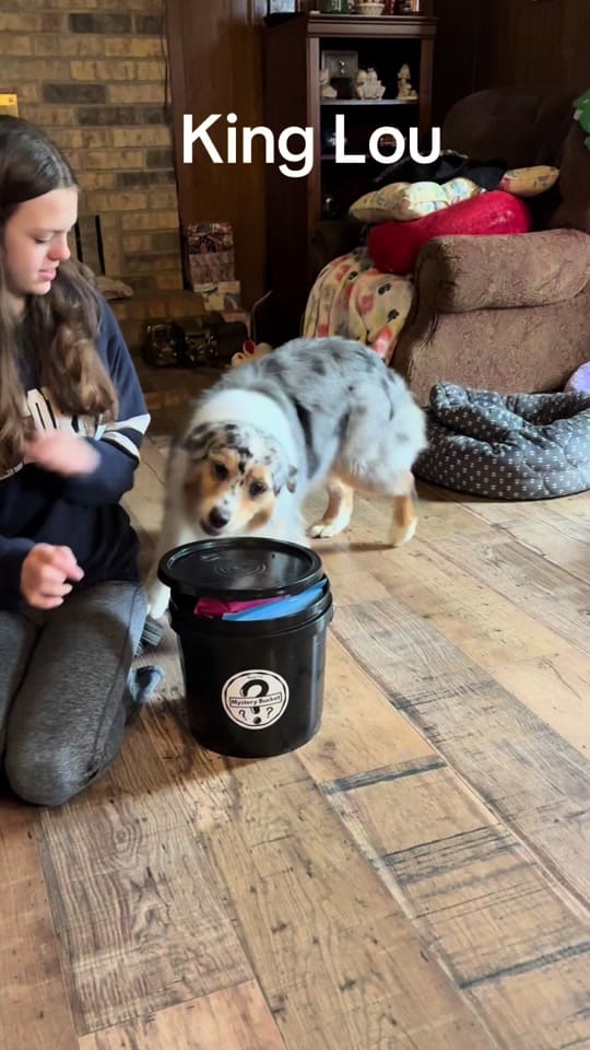 Post 6 by beckyrussellbarnes on TikTok (video)