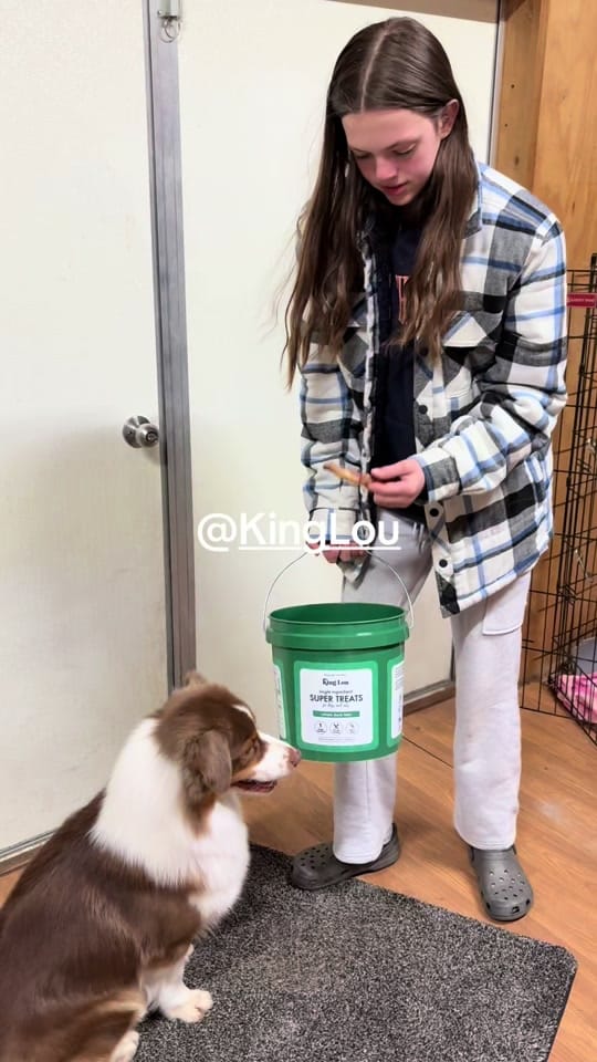 Post 3 by beckyrussellbarnes on TikTok (video)